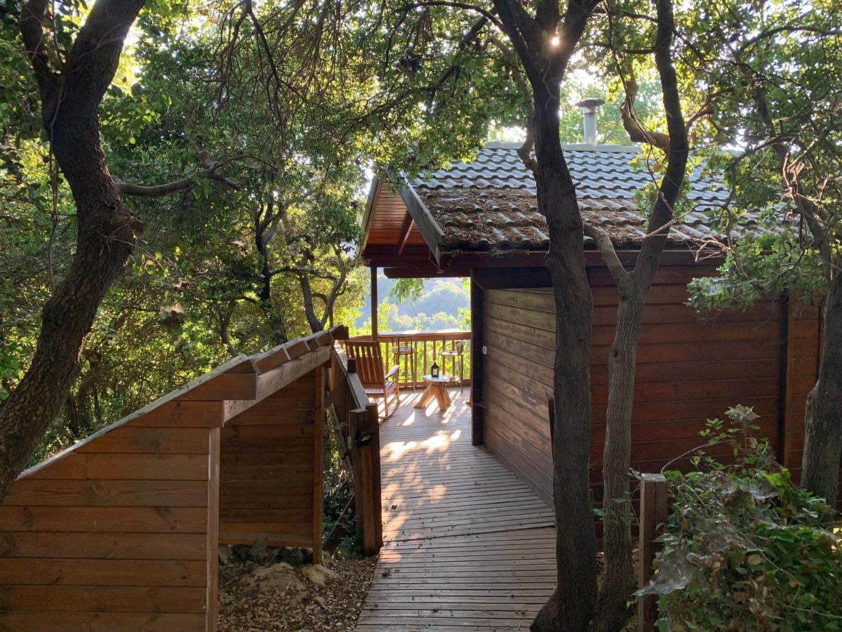 Vila פסגת מתת Pisgat Mattat Exteriér fotografie