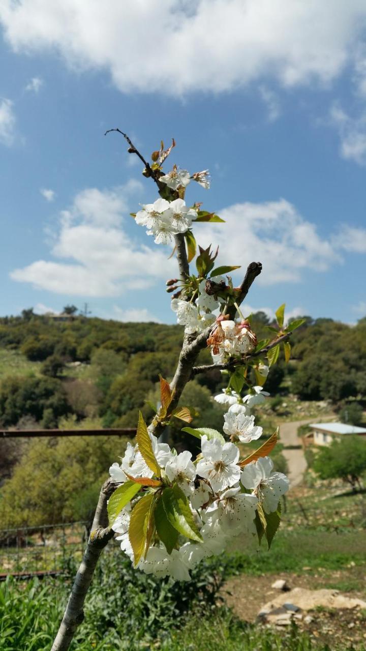 Vila פסגת מתת Pisgat Mattat Exteriér fotografie