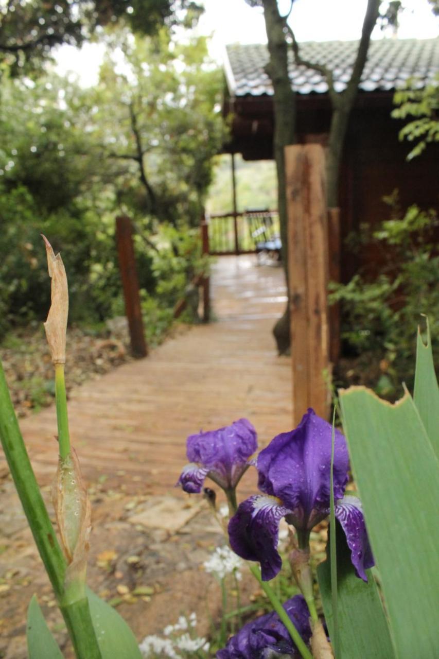 Vila פסגת מתת Pisgat Mattat Exteriér fotografie