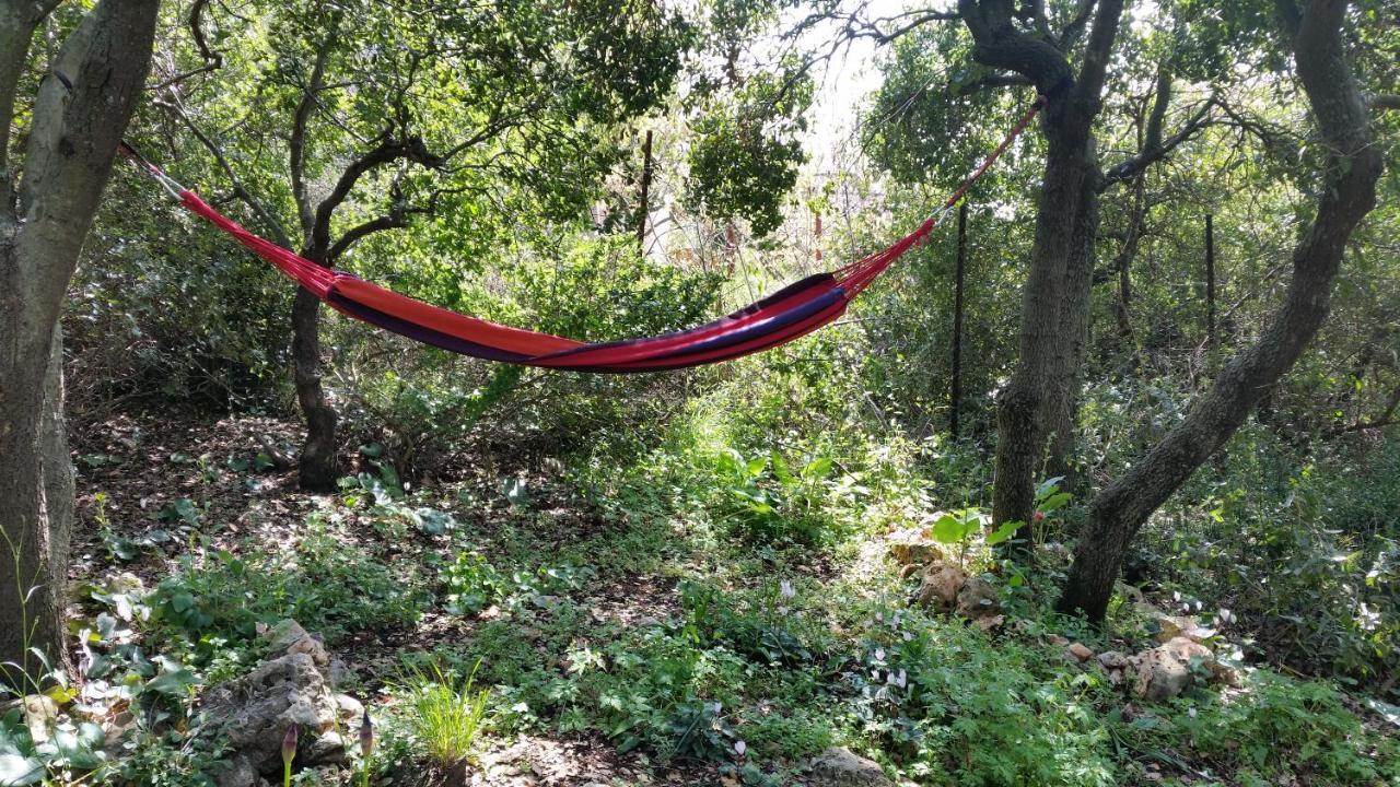 Vila פסגת מתת Pisgat Mattat Exteriér fotografie