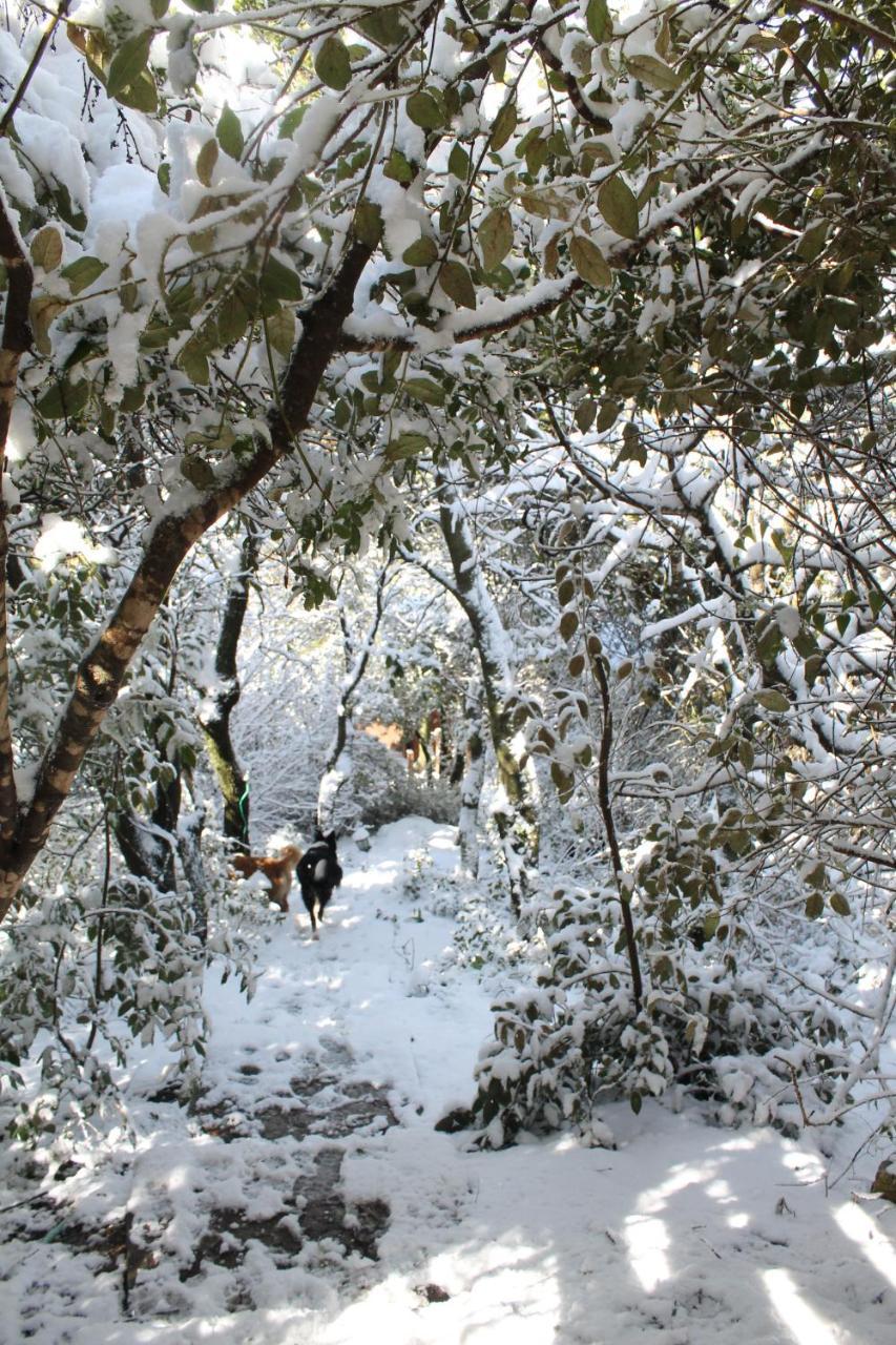 Vila פסגת מתת Pisgat Mattat Exteriér fotografie
